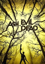 ASH VS EVIL DEAD 11"x17" SÉRIE DE TV PÔSTER IMPRESSÃO #1 comprar usado  Enviando para Brazil