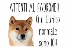 Cartello segnaletico shiba usato  Acate
