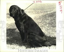 1989 press photo for sale  Memphis
