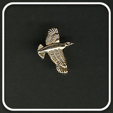 Pheasant game bird for sale  PONTEFRACT