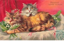 Animals cats lily d'occasion  Expédié en Belgium