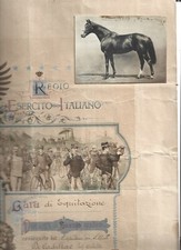 cavalli esercito usato  Viterbo