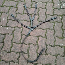 Vorderzeug shetty pony gebraucht kaufen  Kiel