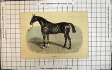 Antique old print for sale  UK