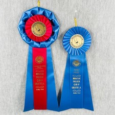 Miniature pinscher club for sale  Prescott Valley