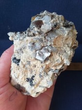 Muscovite auvergne d'occasion  Régny