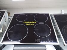 Inductionfeld autark juno gebraucht kaufen  Frankfurt am Main