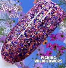 Sparkle & co Nail Dip Powder Picking Wildflowers Colorful Glitter Flake Mix comprar usado  Enviando para Brazil