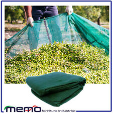 Telo olive per usato  Ariccia
