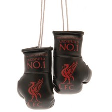 mini boxing gloves liverpool for sale mini boxing gloves liverpool for sale UK