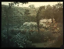 Various autochrome photographs d'occasion  Expédié en Belgium