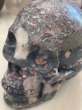 Natural insect fossil for sale  Diamond Bar