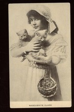 Marguerite clark kittens for sale  Saint Marys