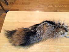 Tanned fox tail for sale  Yorktown