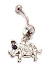 Belly ring animal for sale  Ormond Beach