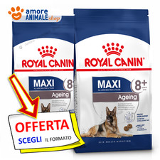 Royal canin dog usato  Serra de Conti