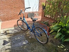Bicicletta pieghevole diametro usato  San Giuliano Terme