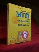 Cerinotti grande libro usato  Roe Volciano
