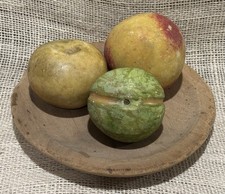 Early stone fruit for sale  Orange