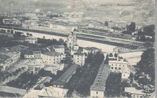 corna cervo trento usato  Italia