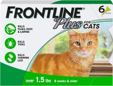 Cat flea tick for sale  Houston