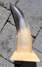 Kuhhorn horn holz gebraucht kaufen  Lathen