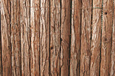 Verdelook arella wood usato  Casalmaggiore