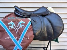 2016 voltaire palm for sale  Sebago