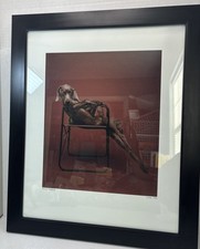 william wegman for sale william wegman for sale Harrison