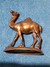 camel for sale camel for sale CAERPHILLY
