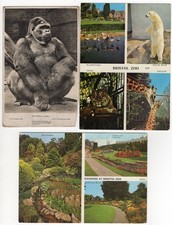 Old postcards bristol for sale Old postcards bristol for sale  FLINT