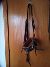 Lunging cavesson large for sale  Byron