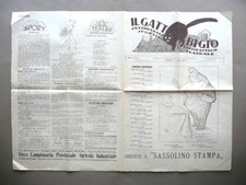 Gatto bigio giornale usato  Italia