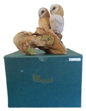 Teviotdale owlets tree for sale Teviotdale owlets tree for sale  WIMBORNE