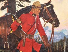 Canadian mountie horse for sale  Ahsahka