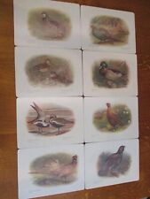 bird placemats for sale  BROMYARD