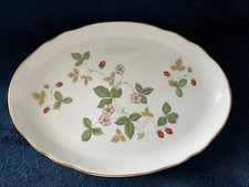 Wedgwood wild strawberry for sale  Osage Beach