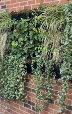 plastic planters trough for sale plastic planters trough for sale HALESOWEN