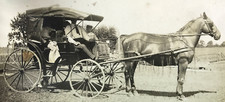 Antique rppc horse for sale  Somerset