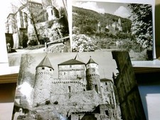 Zwingenberg markgräflich badi gebraucht kaufen  Aarbergen