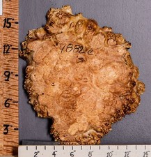 Burl maple lumber for sale  Jefferson