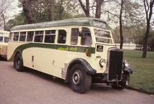 Original 35mm bus for sale  ROYSTON