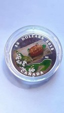 Dollaro canada 2015 usato  San Cassiano