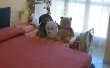 Letto allungabile completo usato  Vimodrone