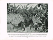 Jamaican homestead antique for sale  DEREHAM