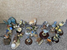 Huge selection bird for sale  IPSWICH