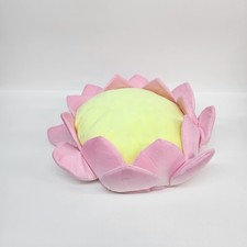 Lotus flower pink for sale  Daytona Beach