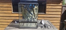 terrarium vivarium for sale terrarium vivarium for sale NEWTOWN