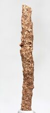 Fulgurite lightning strike for sale  Tucson