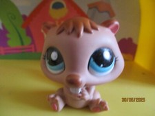 Petshop castor 2515 d'occasion  Saint-Omer
